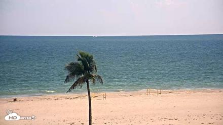 Sanibel Island Flordia Live Webcam - Jul 25, 2026, 4:36pm EDT