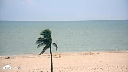 Sanibel Island Flordia Live Webcam - Aug 5, 2026, 4:19pm EDT
