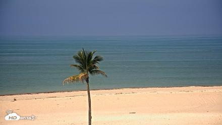 Sanibel Island Flordia Live Webcam - May 11, 2026, 10:38am EDT