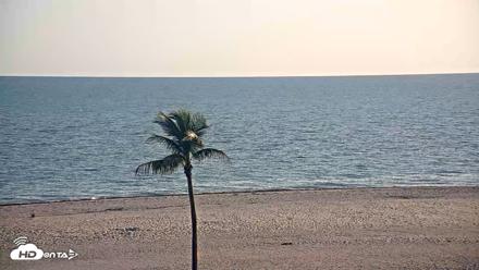 Sanibel Island Flordia Live Webcam - Apr 22, 2026, 6:52pm EDT