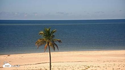 Sanibel Island Flordia Live Webcam - Oct 14, 2026, 10:05am EDT