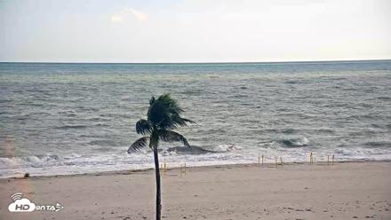 Sanibel Island Flordia Live Webcam - Jul 19, 2026, 7:02pm EDT