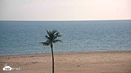 Sanibel Island Flordia Live Webcam - Apr 14, 2026, 6:29pm EDT
