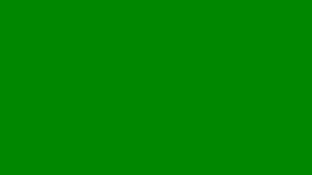 Snapshot Preview Image