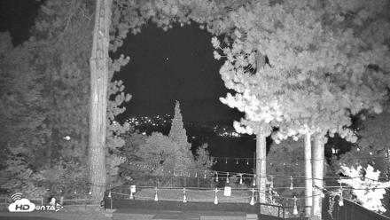 Lake Arrowhead Resort & Spa Live Webcam - Aug 22, 2026, 12:31am PDT