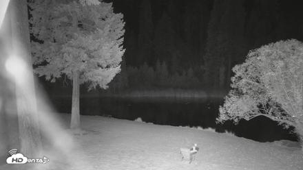 Greenhorn Dude Ranch Live Saloon Cam - Oct 18, 2026, 11:13pm PDT