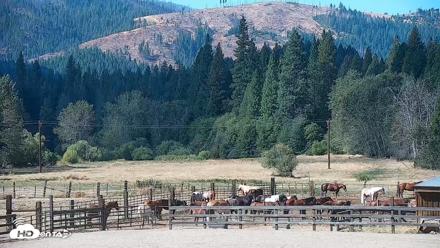 Greenhorn Dude Ranch Live Saloon Cam - Sep 16, 2026, 11:12am PDT