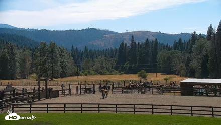 Greenhorn Dude Ranch Live Saloon Cam - Sep 1, 2026, 3:56pm PDT