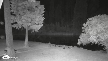 Greenhorn Dude Ranch Live Saloon Cam - Jun 28, 2026, 10:34pm PDT