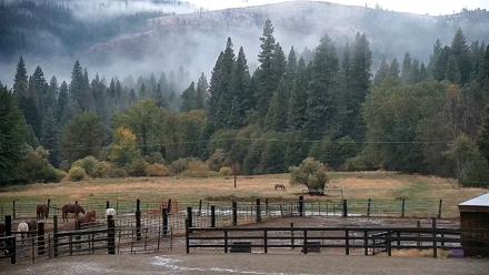 Greenhorn Dude Ranch Live Saloon Cam - Oct 15, 2025, 7:09am PDT