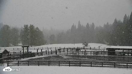 Greenhorn Dude Ranch Live Saloon Cam - Apr 12, 2026, 12:02pm PDT