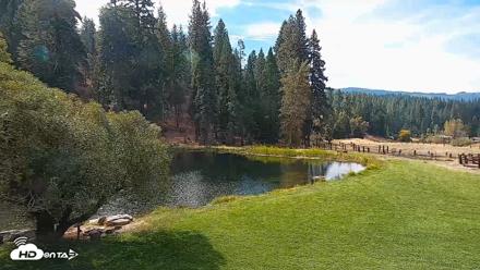 Greenhorn Dude Ranch Live Saloon Cam - Oct 2, 2026, 11:25am PDT