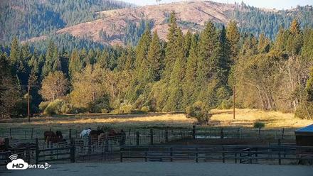 Greenhorn Dude Ranch Live Saloon Cam - Sep 22, 2026, 8:03am PDT