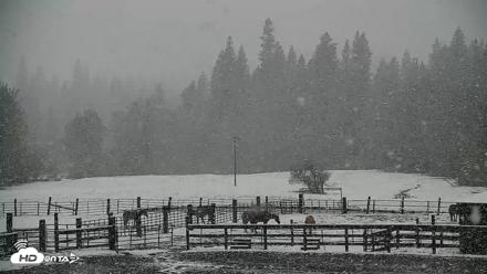 Greenhorn Dude Ranch Live Saloon Cam - Apr 12, 2026, 12:02pm PDT