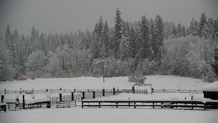 Greenhorn Dude Ranch Live Saloon Cam - Feb 19, 2026, 12:24pm PST