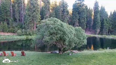 Greenhorn Dude Ranch Live Saloon Cam - Jun 9, 2026, 8:00pm PDT