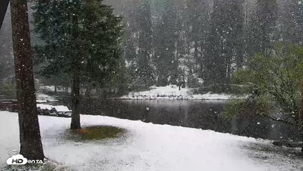 Greenhorn Dude Ranch Live Saloon Cam - Apr 12, 2026, 12:04pm PDT