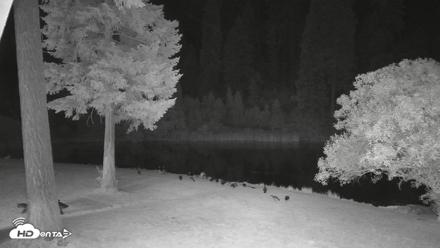 Greenhorn Dude Ranch Live Saloon Cam - Jun 28, 2026, 10:38pm PDT