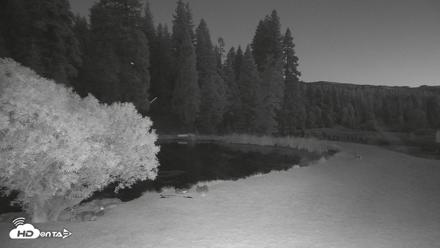 Greenhorn Dude Ranch Live Saloon Cam - Aug 9, 2026, 8:55pm PDT