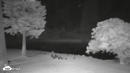 Greenhorn Dude Ranch Live Saloon Cam - Jun 28, 2026, 10:30pm PDT