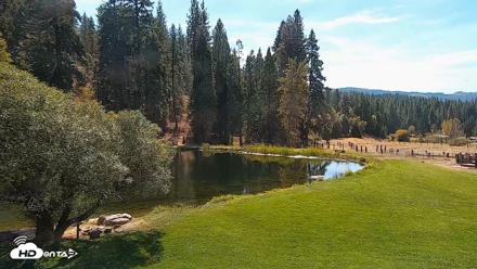 Greenhorn Dude Ranch Live Saloon Cam - Oct 3, 2026, 1:04pm PDT