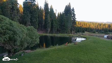 Greenhorn Dude Ranch Live Saloon Cam - Jun 9, 2026, 8:00pm PDT