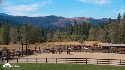 Greenhorn Dude Ranch Live Saloon Cam - Oct 2, 2026, 11:26am PDT
