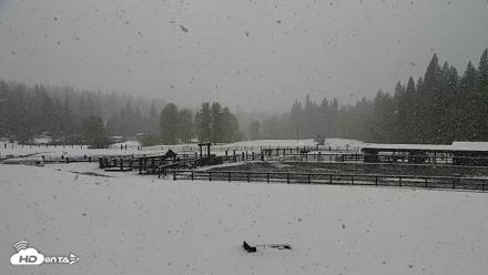 Greenhorn Dude Ranch Live Saloon Cam - Apr 12, 2026, 12:03pm PDT