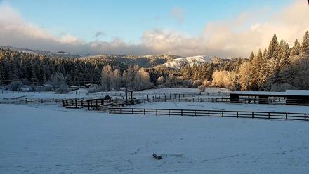 Greenhorn Dude Ranch Live Saloon Cam - Dec 26, 2025, 8:17am PST