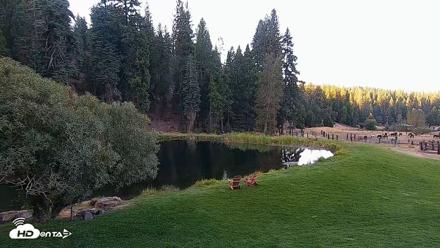 Greenhorn Dude Ranch Live Saloon Cam - Sep 16, 2026, 7:42am PDT