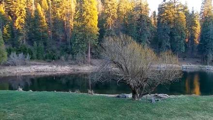 Greenhorn Dude Ranch Live Saloon Cam - Mar 18, 2026, 6:57pm PDT