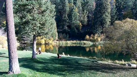 Greenhorn Dude Ranch Live Saloon Cam - Oct 21, 2025, 4:23pm PDT