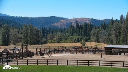 Greenhorn Dude Ranch Live Saloon Cam - Sep 15, 2026, 1:20pm PDT