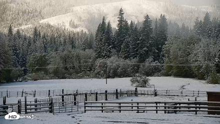 Greenhorn Dude Ranch Live Saloon Cam - Apr 12, 2026, 8:43am PDT