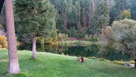 Greenhorn Dude Ranch Live Saloon Cam - Oct 11, 2025, 3:52pm PDT