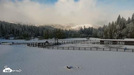 Greenhorn Dude Ranch Live Saloon Cam - Apr 12, 2026, 8:41am PDT