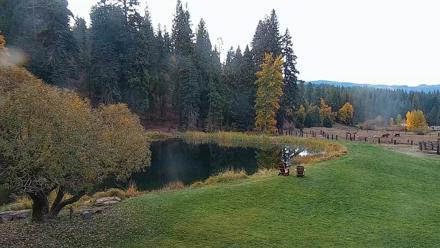 Greenhorn Dude Ranch Live Saloon Cam - Oct 24, 2025, 10:29am PDT