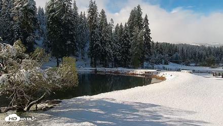 Greenhorn Dude Ranch Live Saloon Cam - Apr 12, 2026, 8:41am PDT