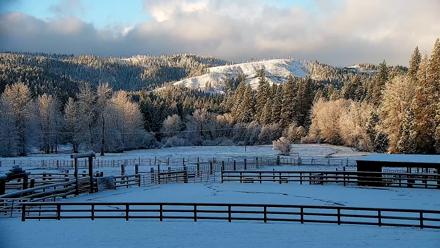 Greenhorn Dude Ranch Live Saloon Cam - Dec 26, 2025, 8:18am PST