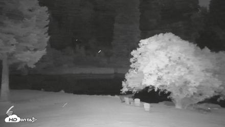 Greenhorn Dude Ranch Live Saloon Cam - Aug 9, 2026, 8:54pm PDT