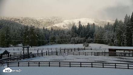 Greenhorn Dude Ranch Live Saloon Cam - Apr 12, 2026, 8:42am PDT