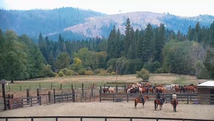 Greenhorn Dude Ranch Live Saloon Cam - Oct 14, 2025, 2:25pm PDT