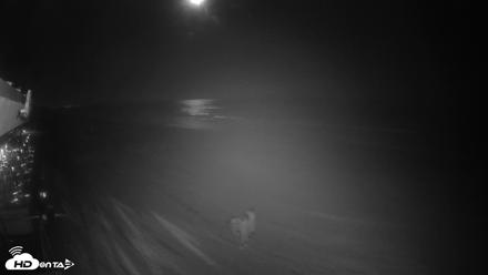17th St. Del Mar Beach - 4K SW Live Webcam - Aug 21, 2026, 10:16pm PDT