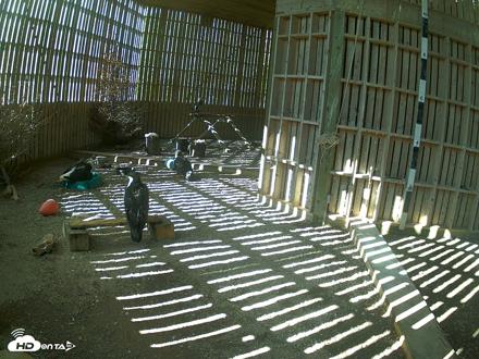 Cobequid Raptor Flight Facility Live Webcams - Sep 22, 2026, 3:15pm ADT