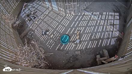 Cobequid Raptor Flight Facility Live Webcams - Aug 14, 2026, 4:35pm ADT