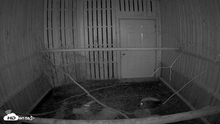 Cobequid Raptor Flight Facility Live Webcams - Aug 24, 2026, 8:39pm ADT