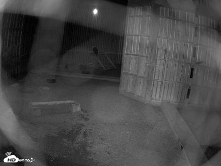 Cobequid Raptor Flight Facility Live Webcams - Aug 11, 2026, 2:32am ADT