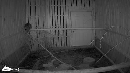 Cobequid Raptor Flight Facility Live Webcams - Aug 24, 2026, 1:14am ADT