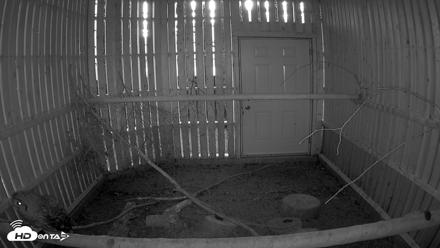Cobequid Raptor Flight Facility Live Webcams - Sep 22, 2026, 7:00pm ADT