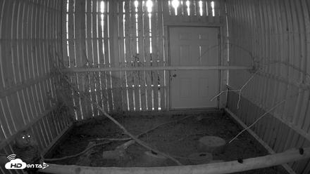 Cobequid Raptor Flight Facility Live Webcams - Sep 22, 2026, 6:58pm ADT